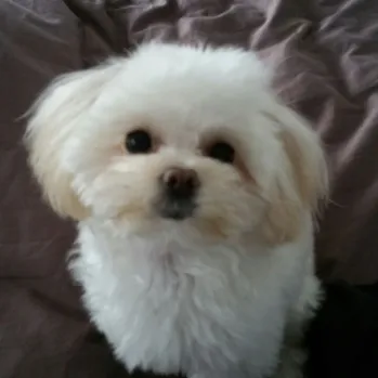 YOUR CAR CAN BE NEXT!